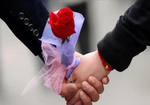 民事诉讼质证法律规定是什么